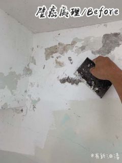 北市壁癌處理